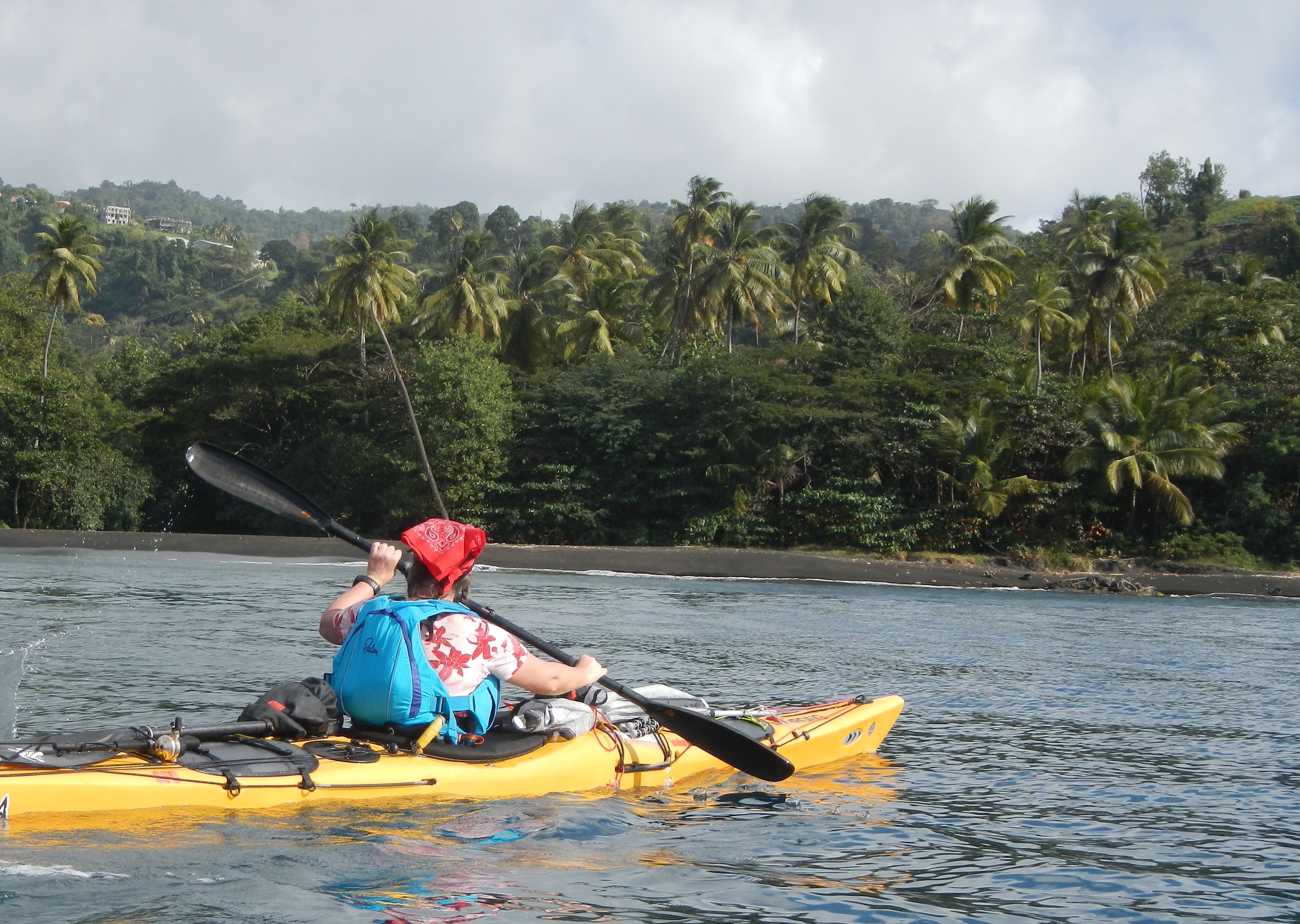 Salomon Ankündigung
