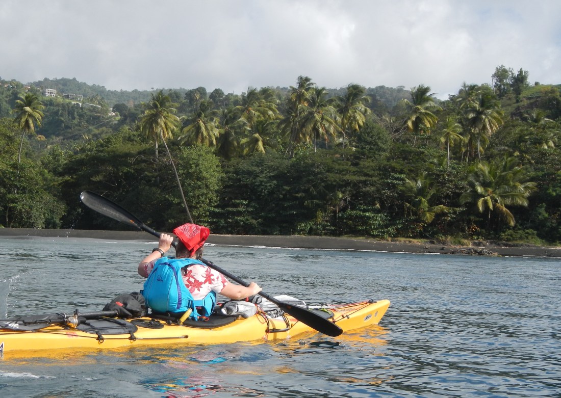 Salomon Ankündigung